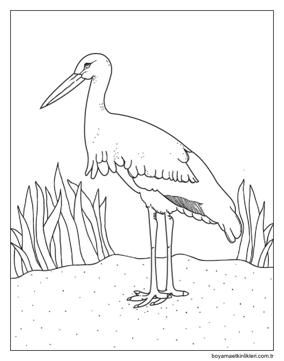 Ayakta Duran Leylek