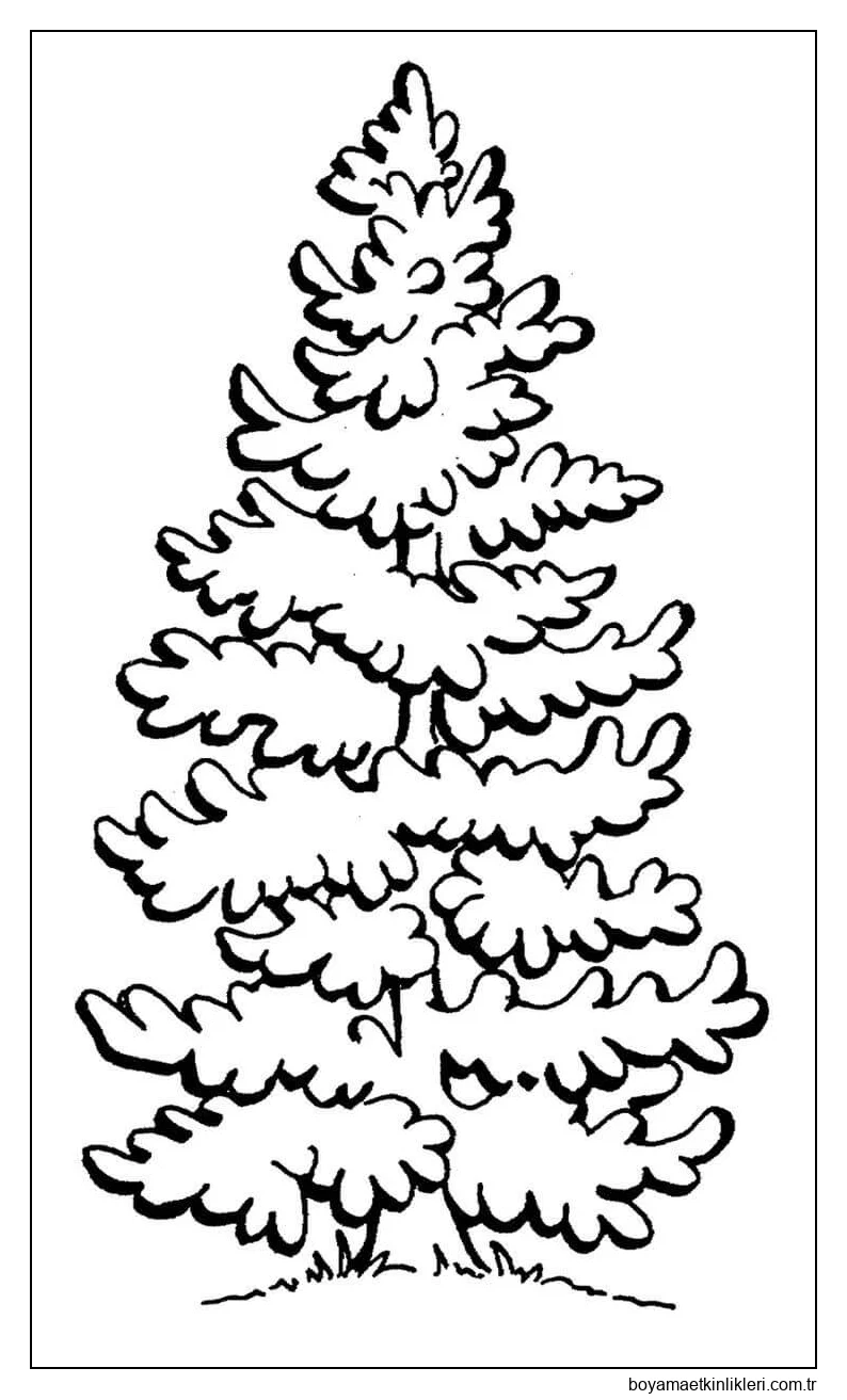 Çam Ağacı Sevimli