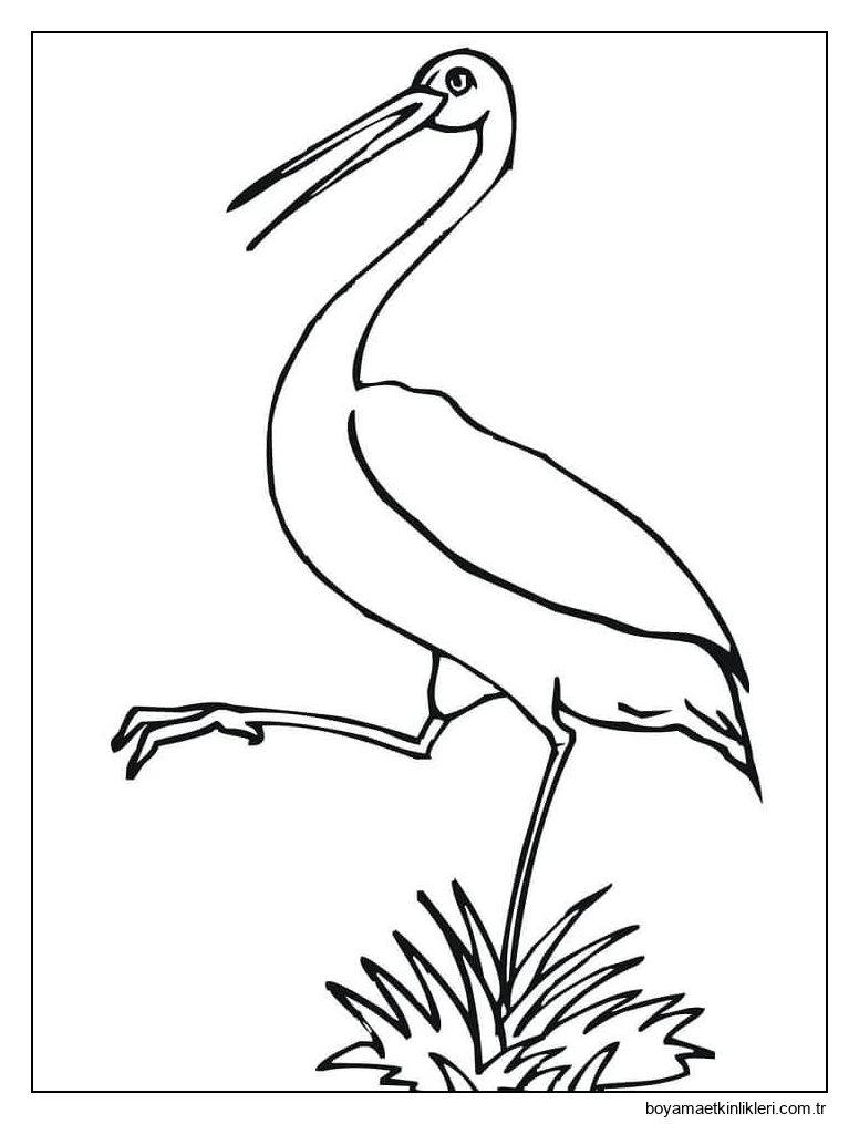 Çimenlerin Üzerinde Duran Leylek