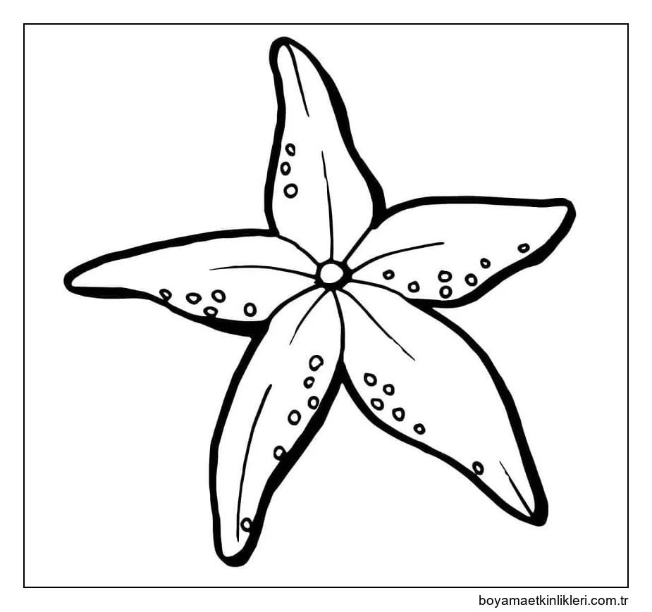 Çocuklar İçin Denizyıldızı