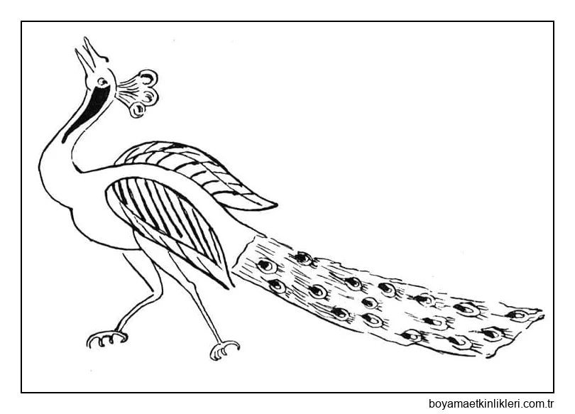 Çocuklar İçin Ücretsiz Tavuskuşu