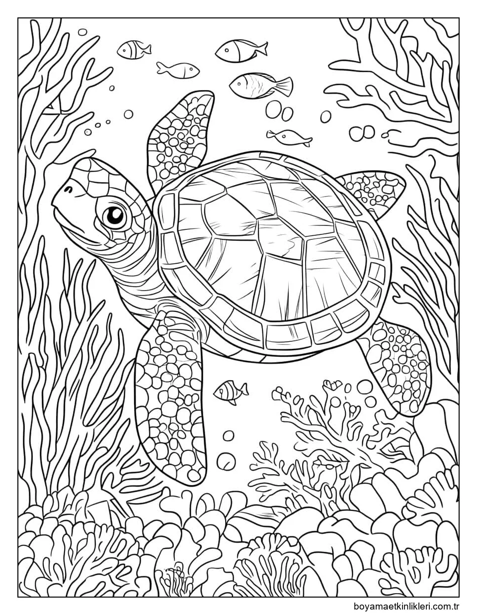 Çocuklarda Kaplumbağa çizimi