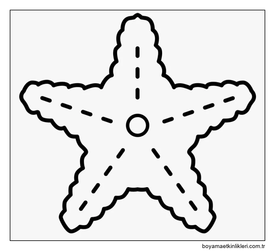 Çok Kolay Denizyıldızı