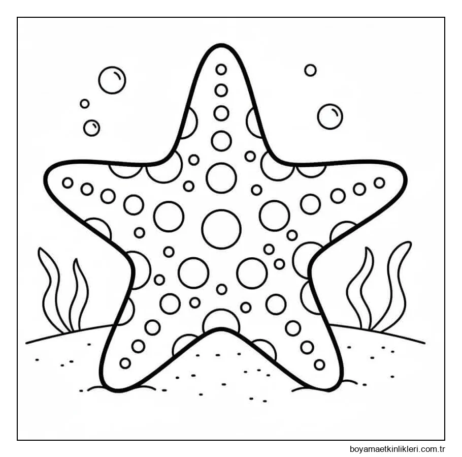 Güzel Denizyıldızı