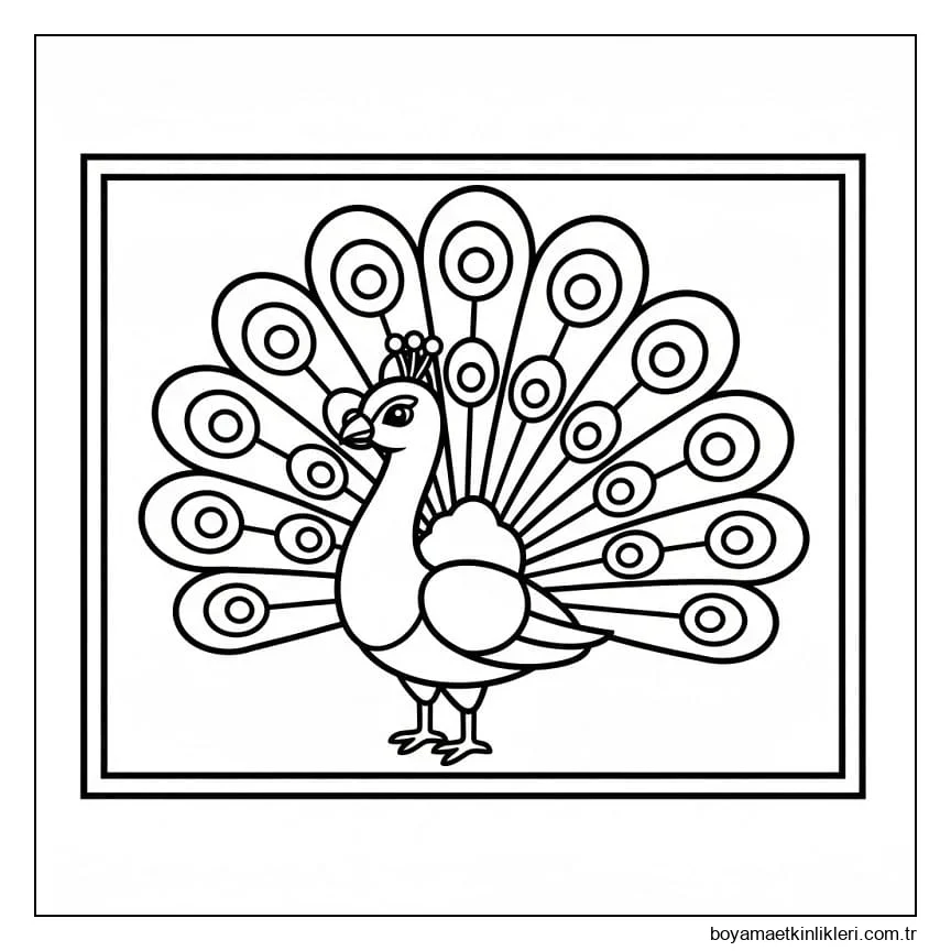 Güzelce Bir Tavuskuşu