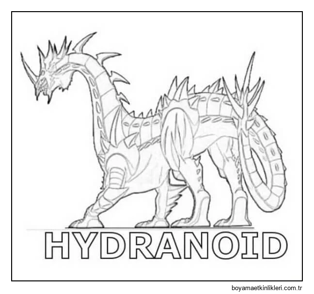 Hydranoid