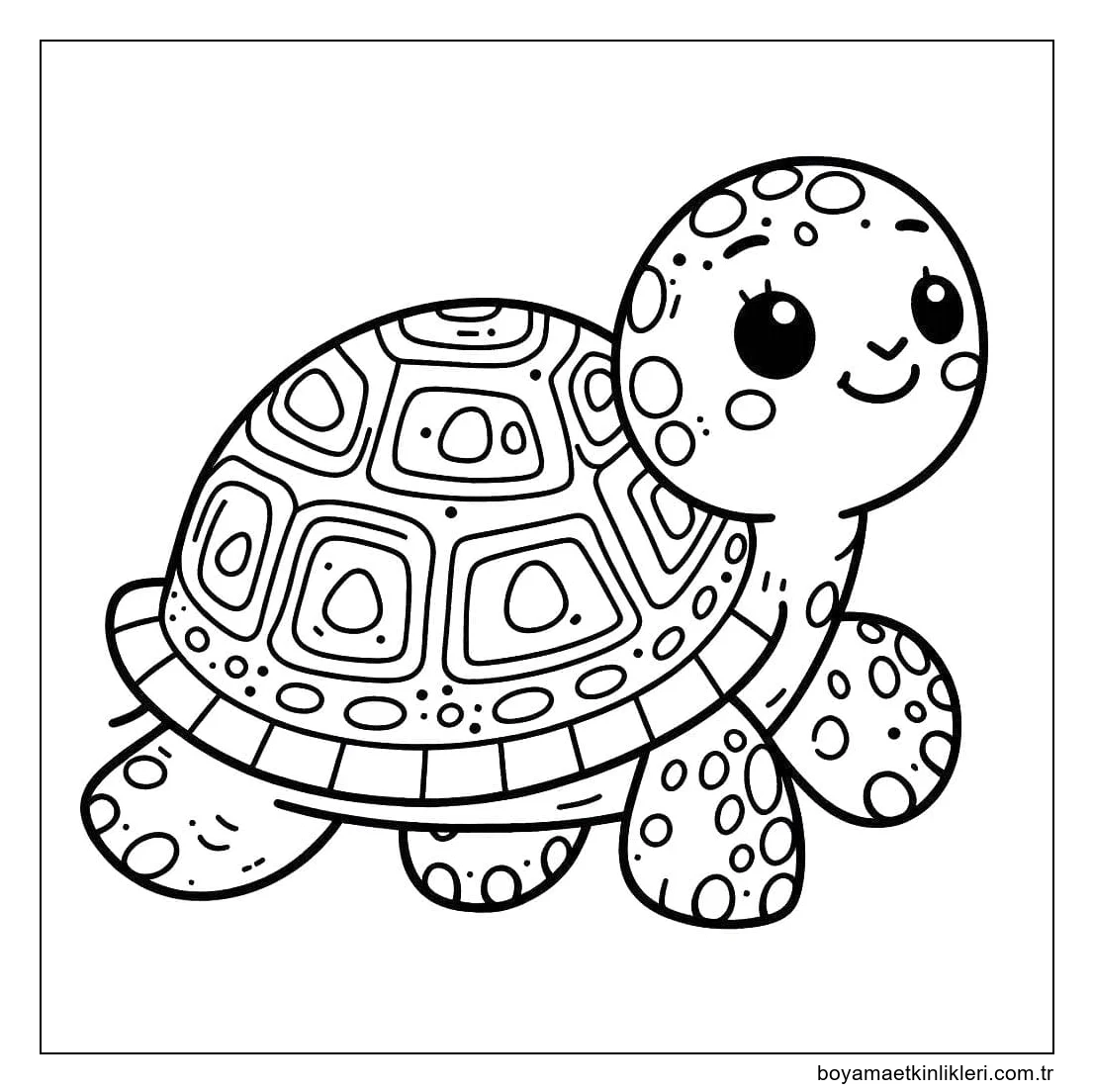 Kaplumbağa Basit Çizimi