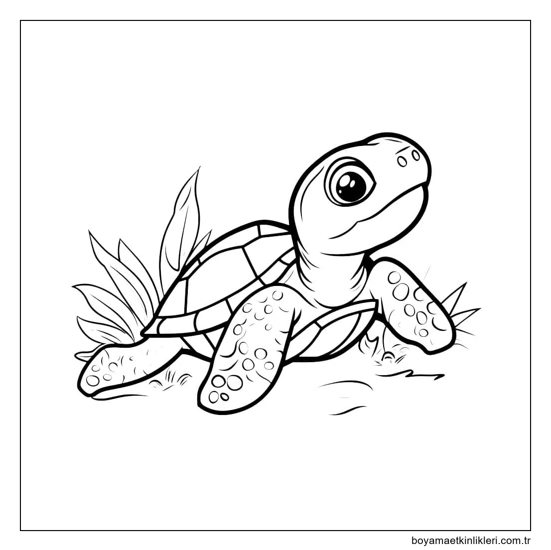 Kaplumbağa çiz