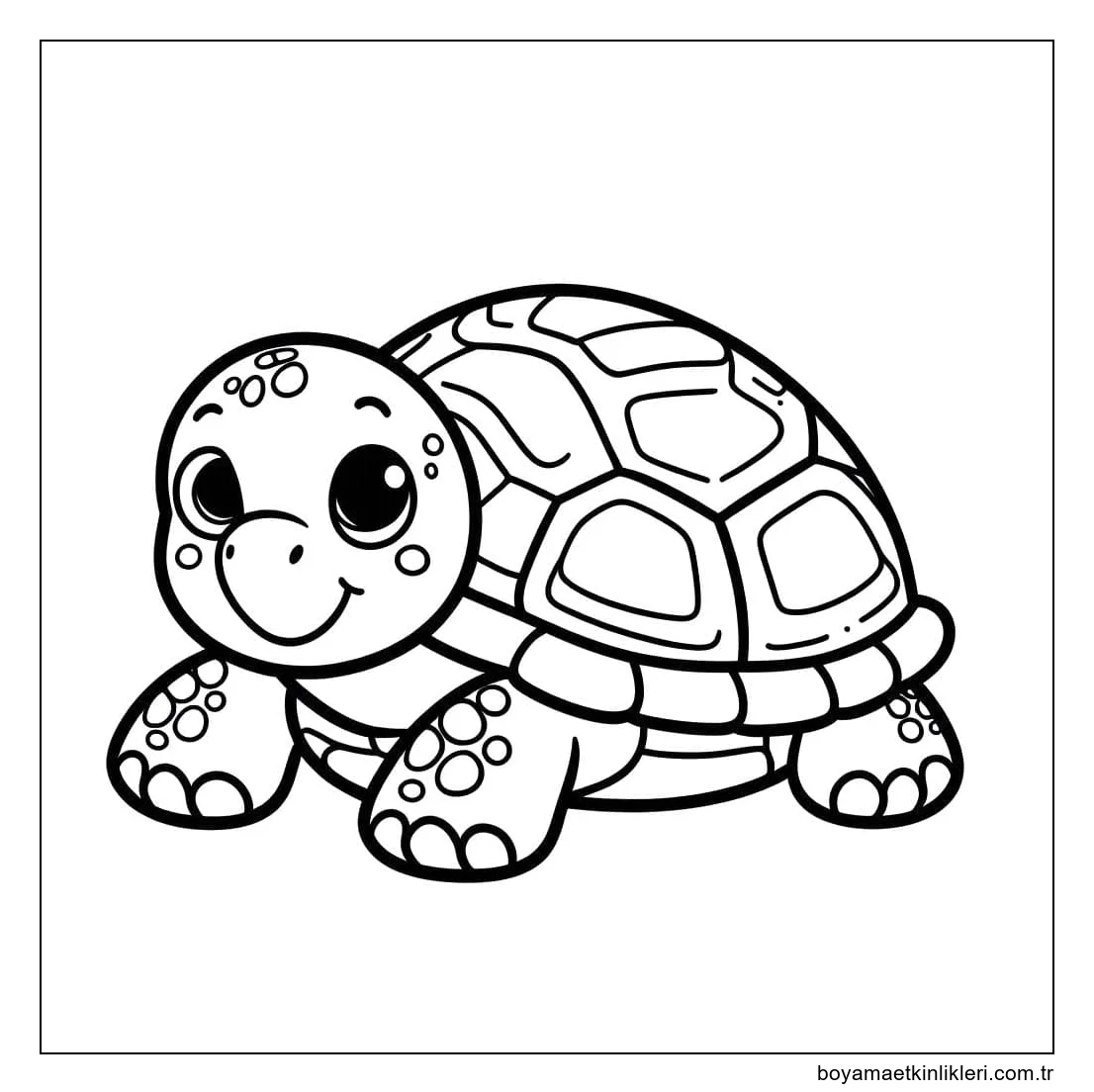 Kaplumbağa resmi çiz