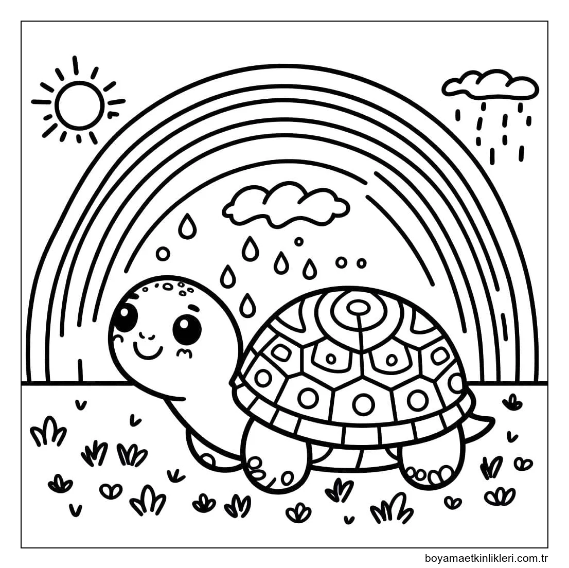Kaplumbağa temel çizimi