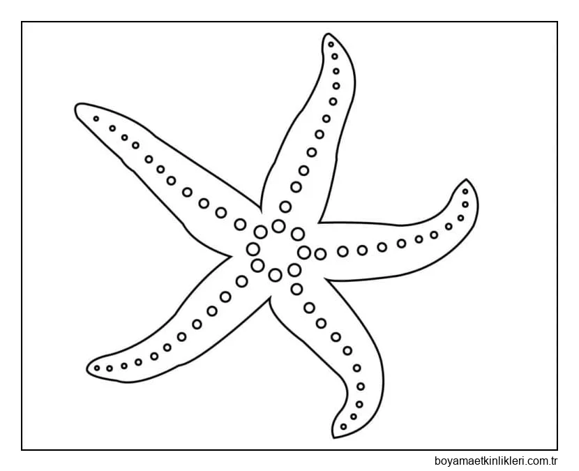 Kolay Denizyıldızı