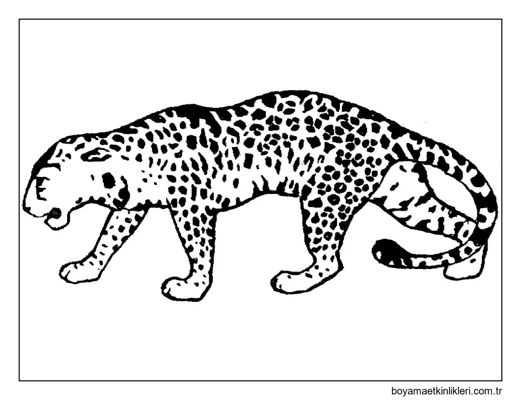 Leopar Ücretsiz Yazdırılabilir