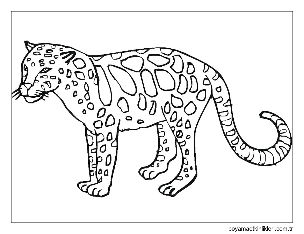 Leopar Yazdır