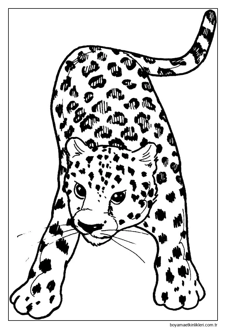 Leopar Yazdırılabilir
