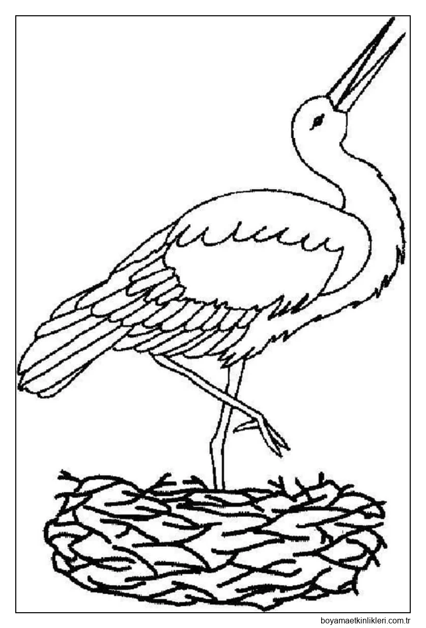 Leylek çizimi