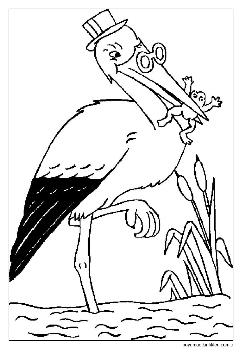 Leylek Yiyen Kurbağa