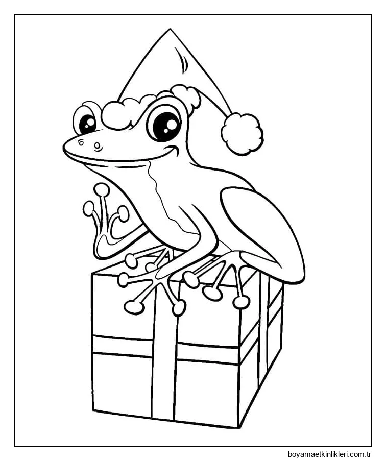 Noel Ayı Kurbağası