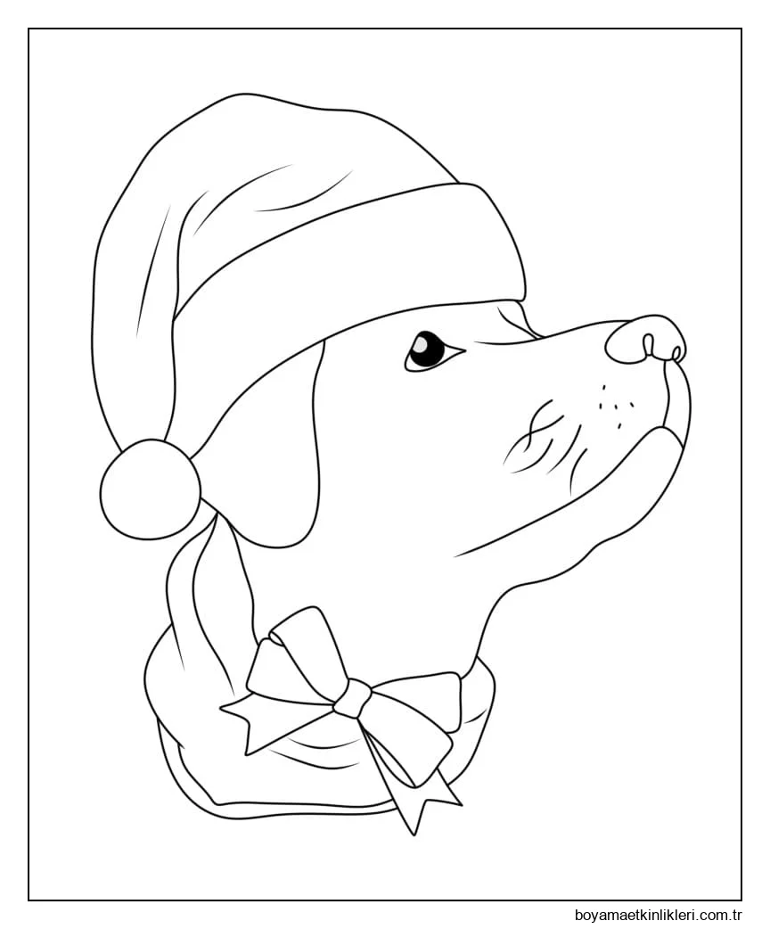 Noel Köpeği Yüzü