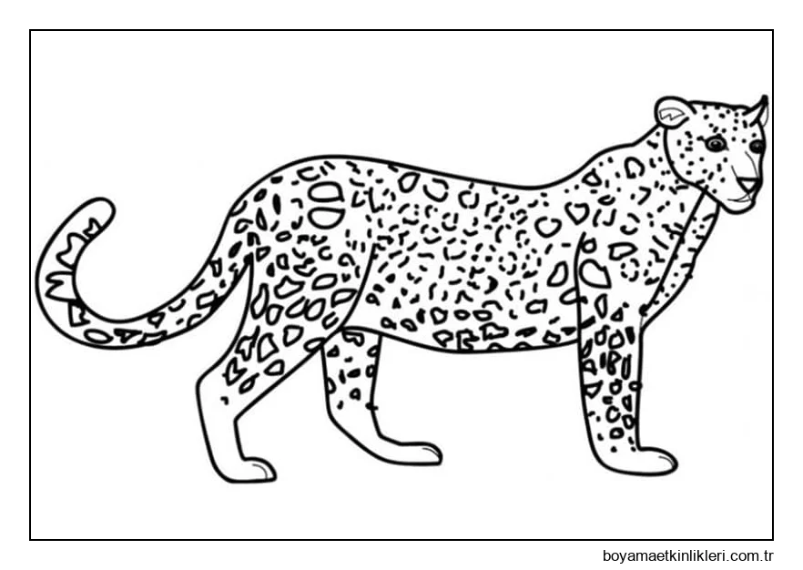Normal Leopar