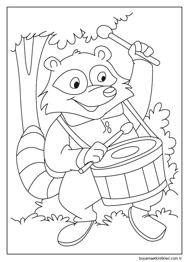 Rakun Davul Çalıyor