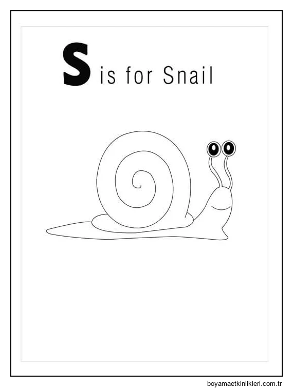 S Salyangoz Içindir