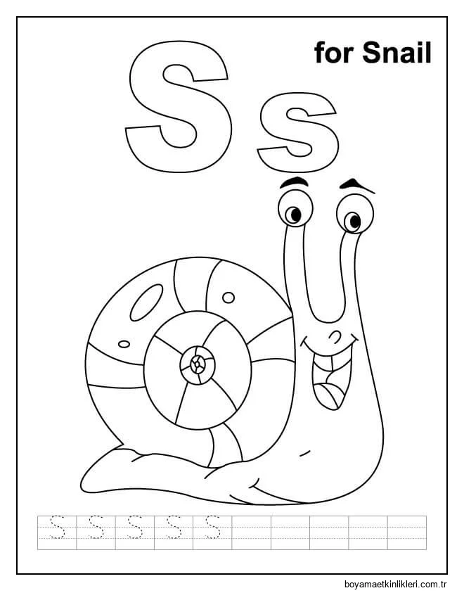 Salyangoz için S Harfi