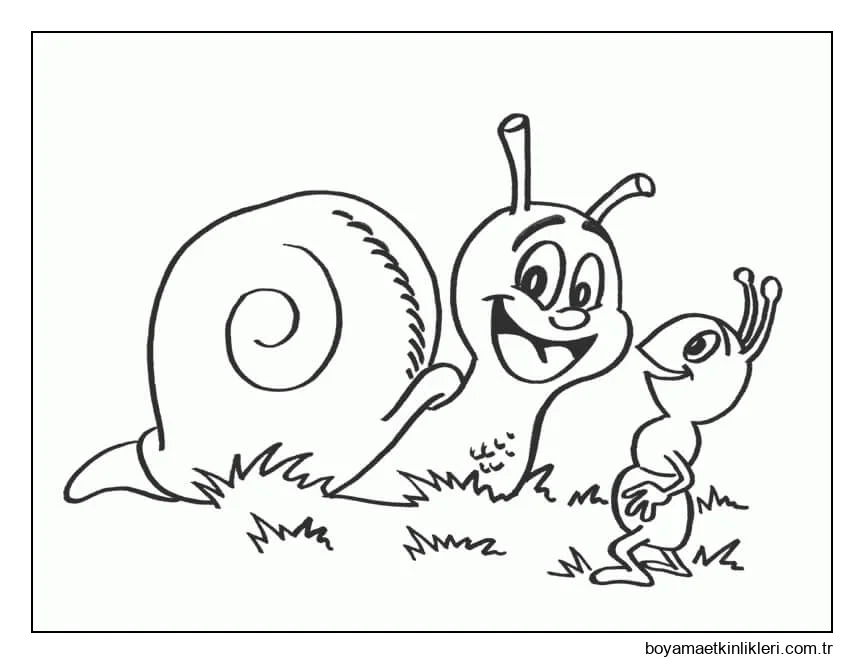 Salyangoz ve Karınca