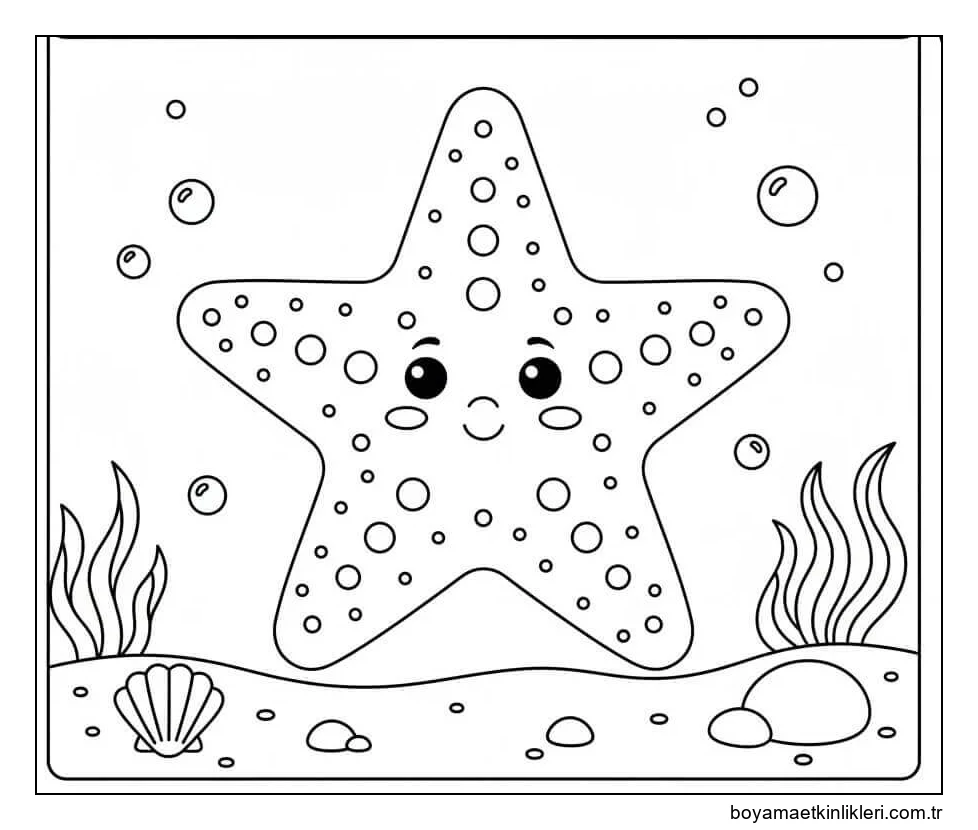 Sevimli Bir Denizyıldızı