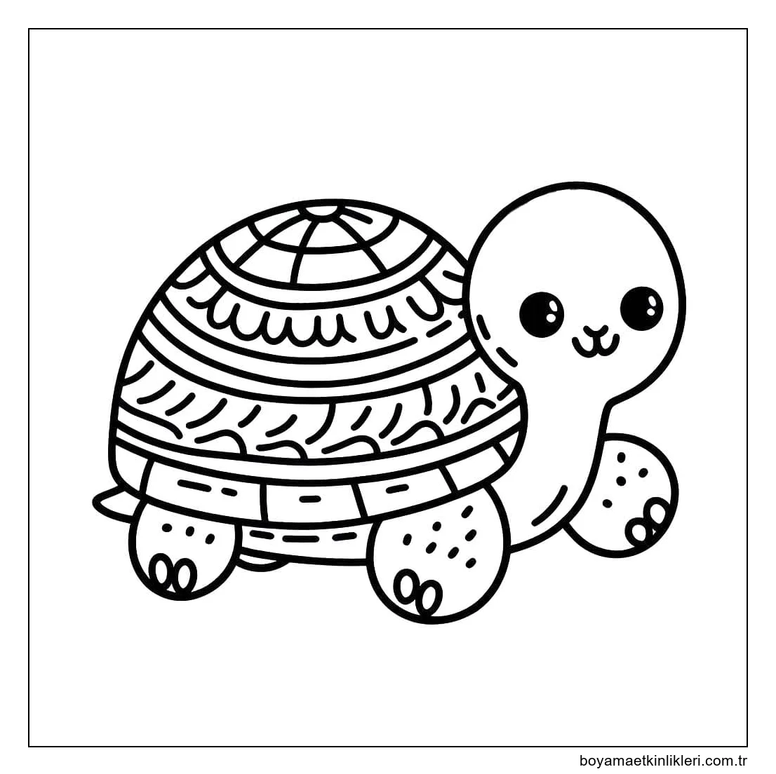 Sevimli Kaplumbağa çiz