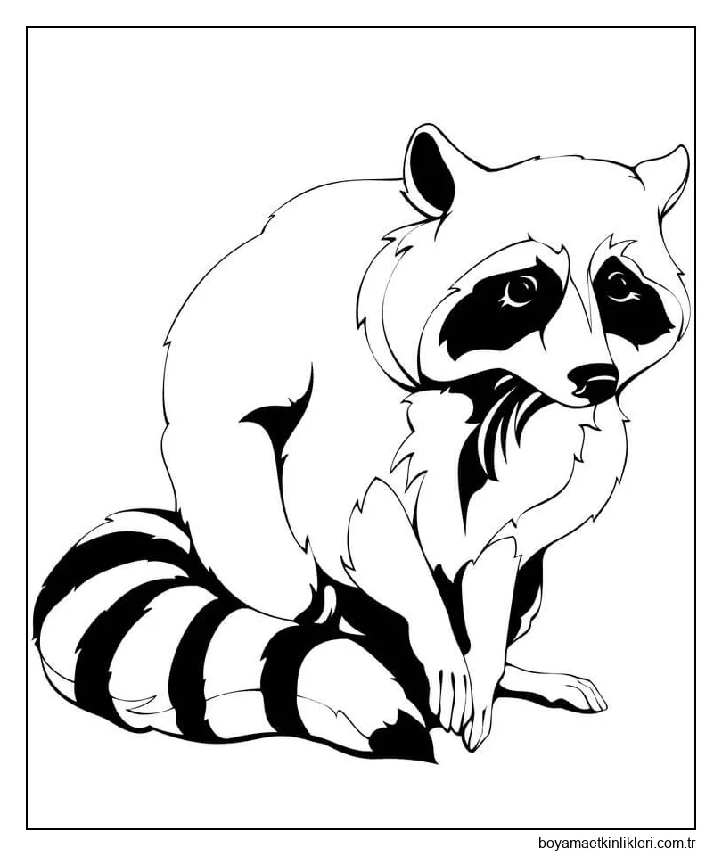 Sevimli Oturan Rakun