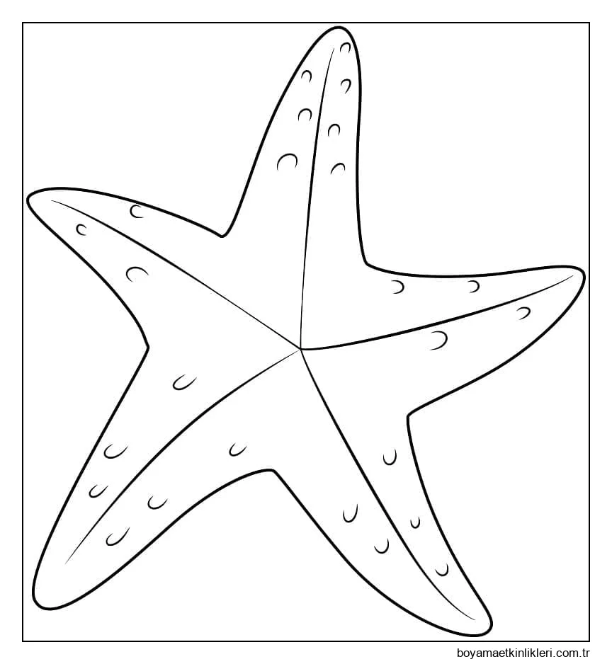 Temel Denizyıldızı