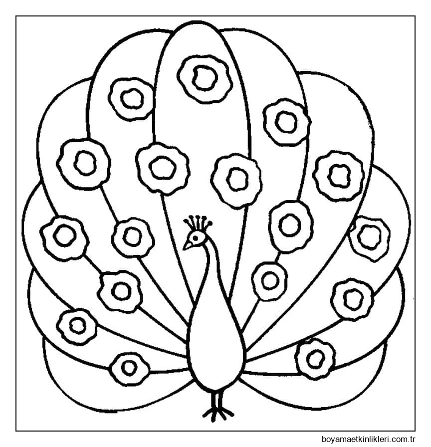 Ücretsiz Yazdırılabilir Tavuskuşu