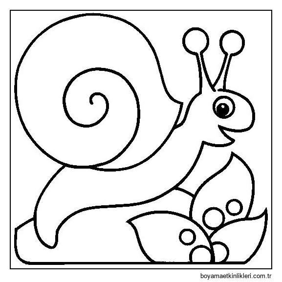 Yaprağa Salyangoz Çizimi