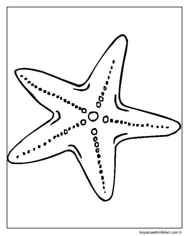 Yazdırılabilir Denizyıldızı