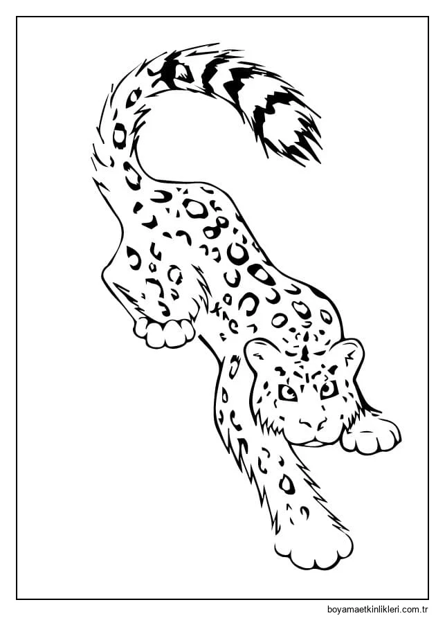 Yazdırılabilir Kar Leoparı