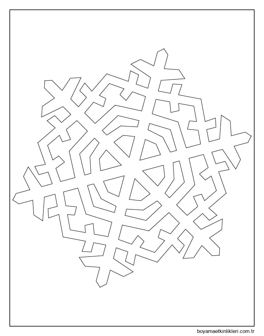 Yetişkinler İçin Kar Tanesi