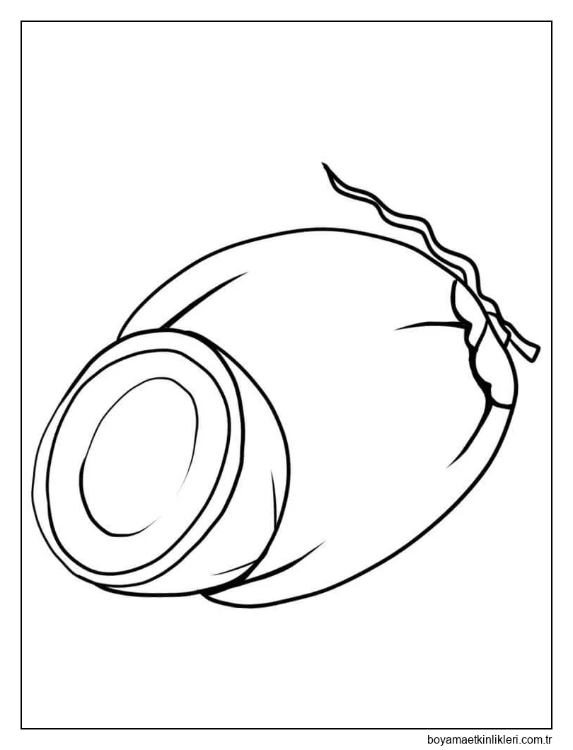 Basit Hindistan Cevizi