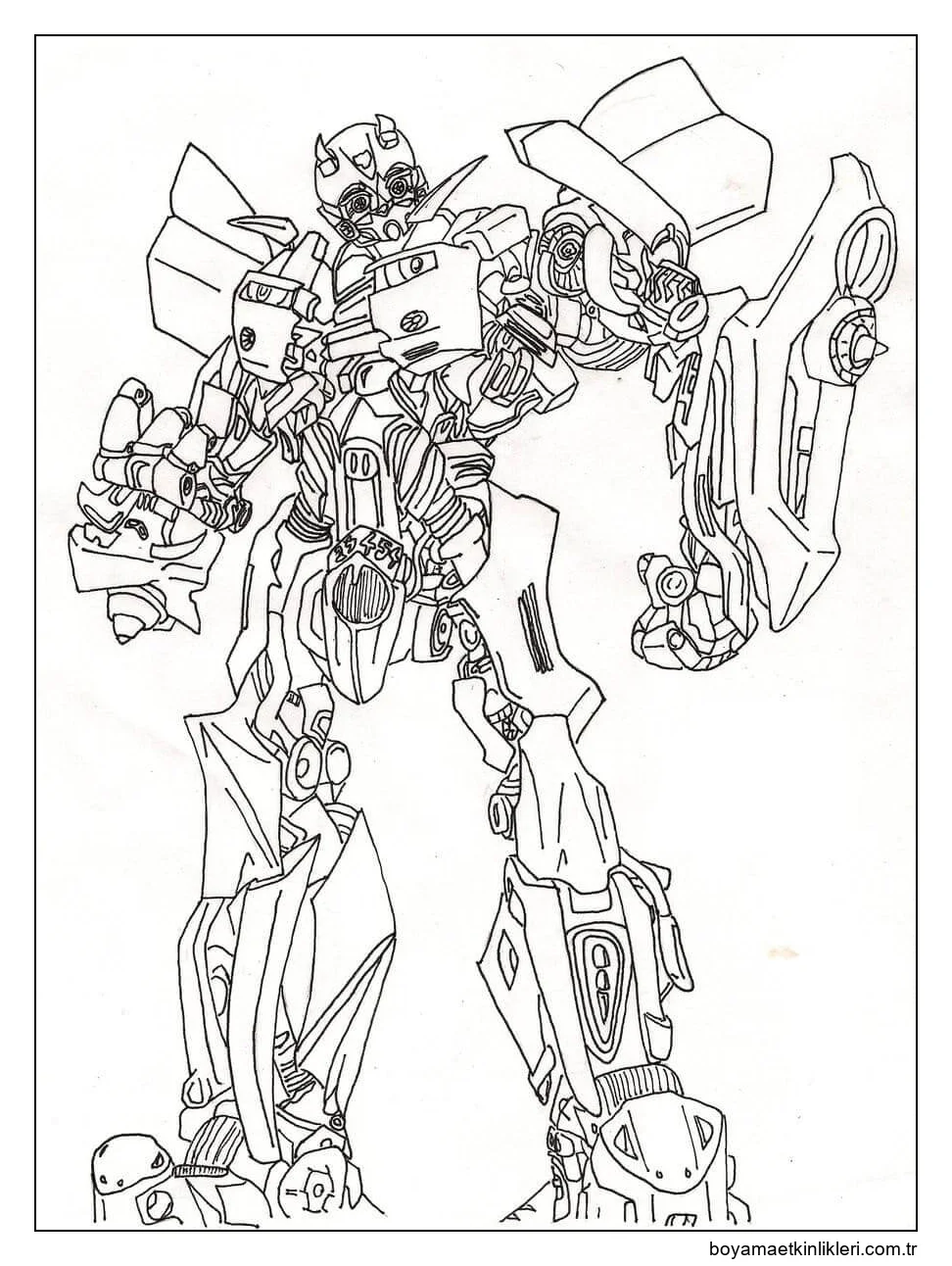 Bumblebee Harika Görünüyor