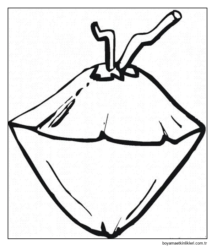 Büyük Hindistan Cevizi