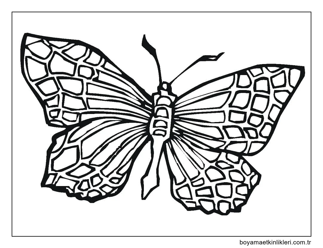Büyük Kelebek ücretsiz