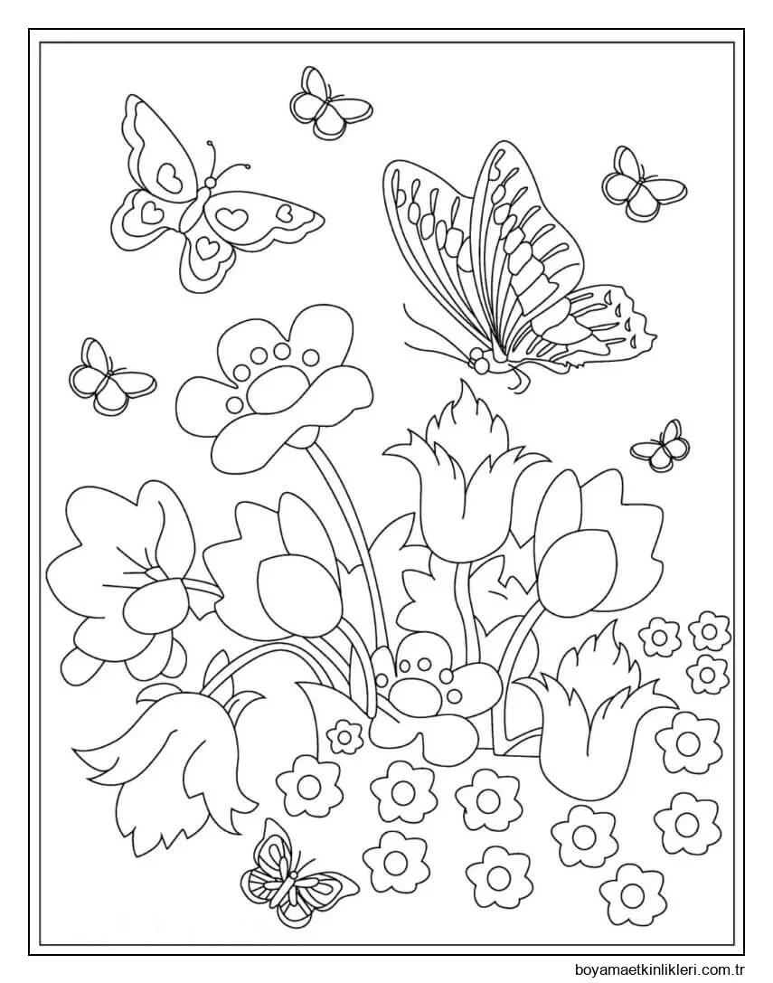 Çiçekli Temel Kelebekler