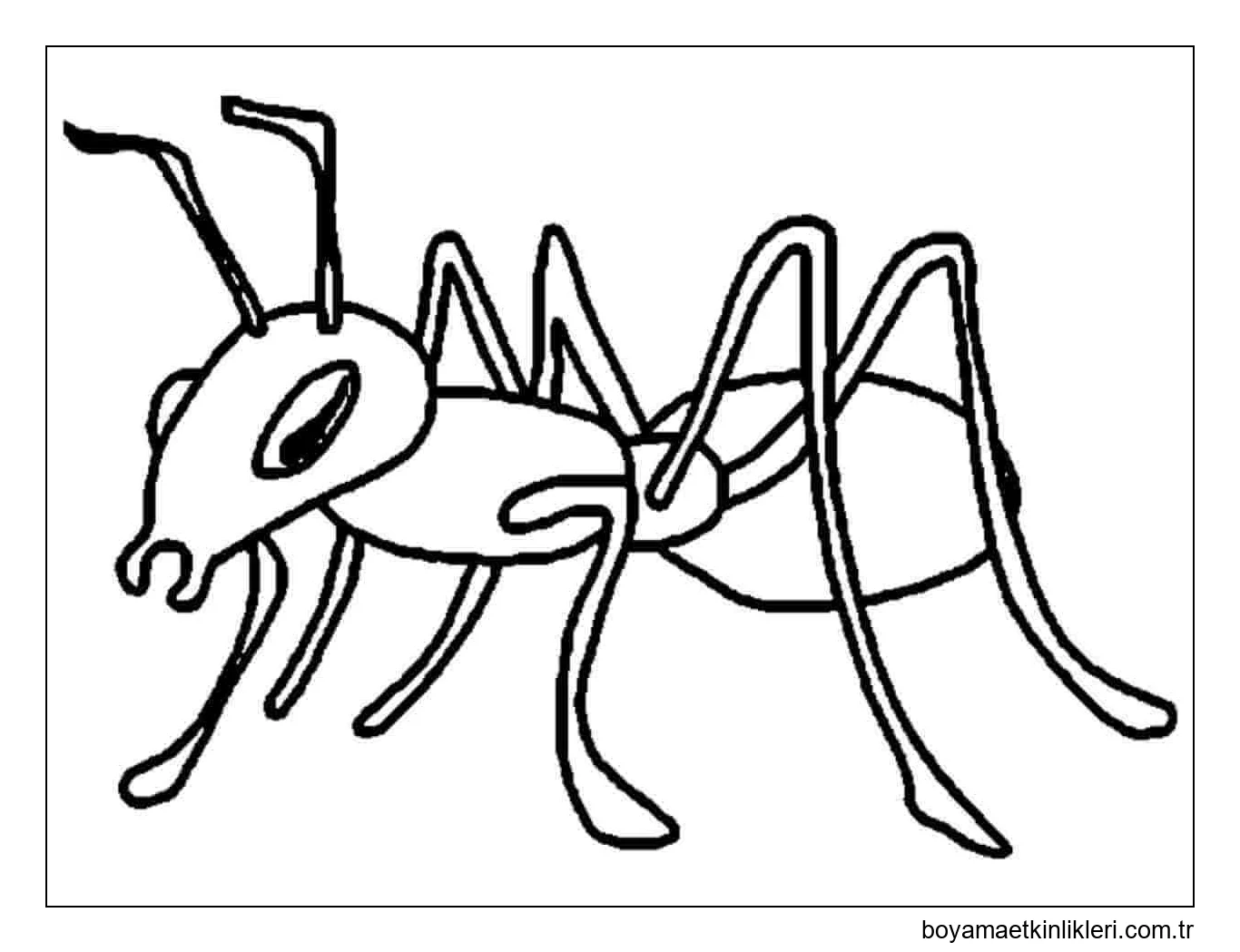 El Beraberlik Karınca