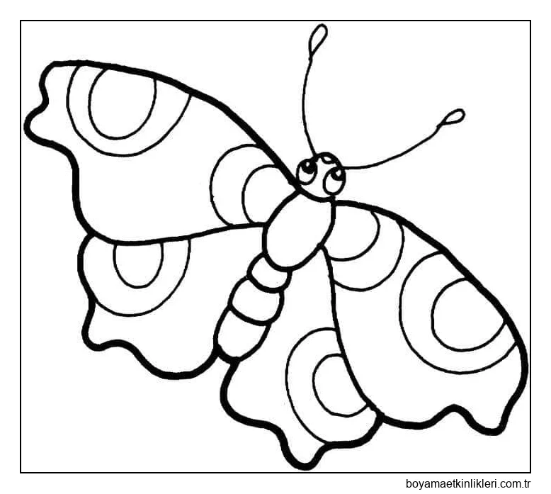 Güzel Kelebek Resmi