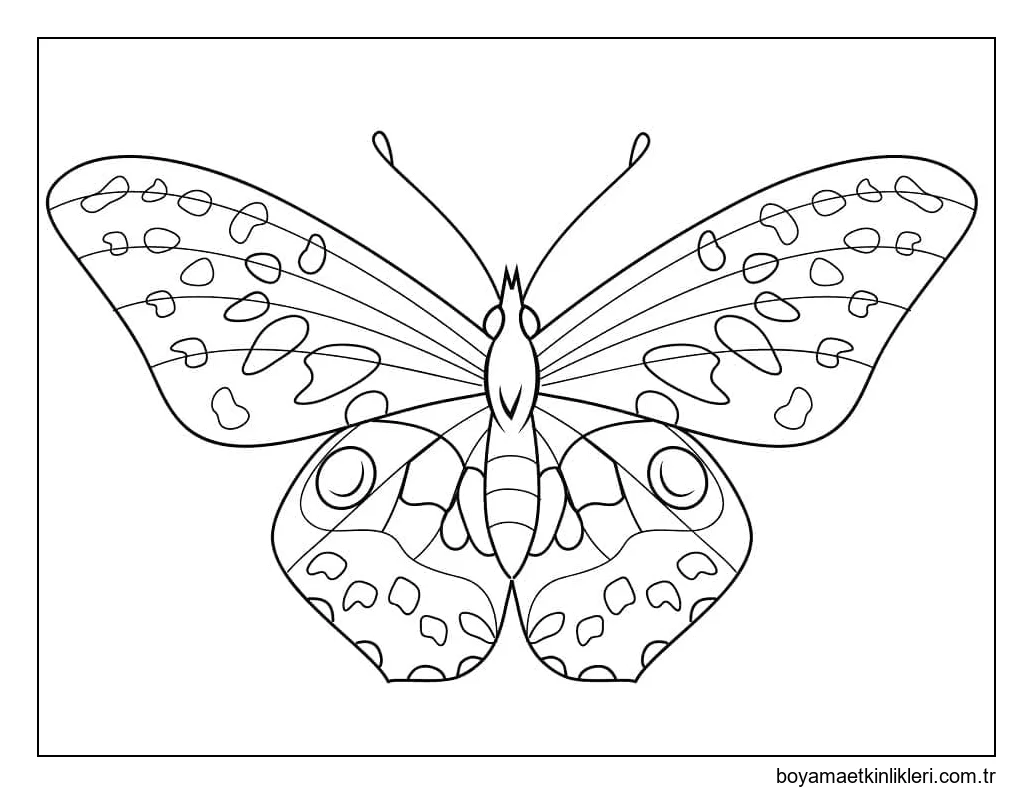 Güzel Kelebek Ücretsiz Resim