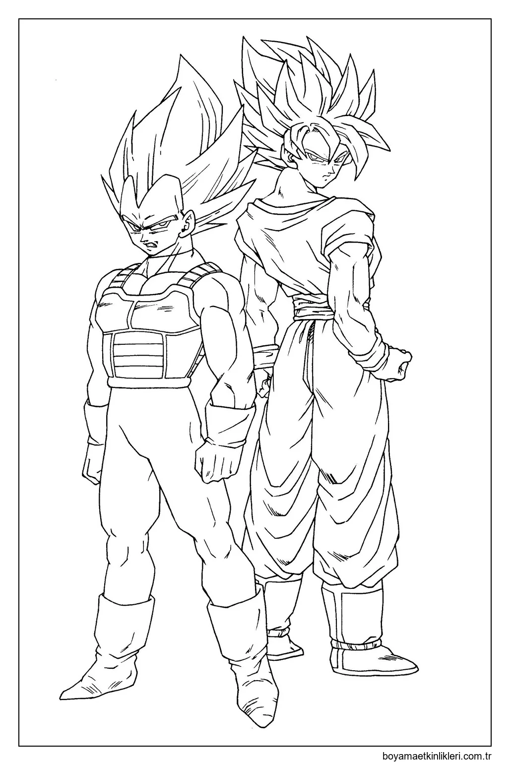 Harika Goku ve Vegeta