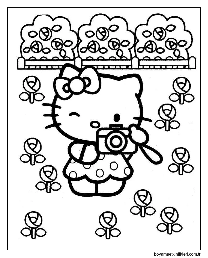 Hello Kitty Çiçek Bahçesinin Fotoğraflarını Çekiyor