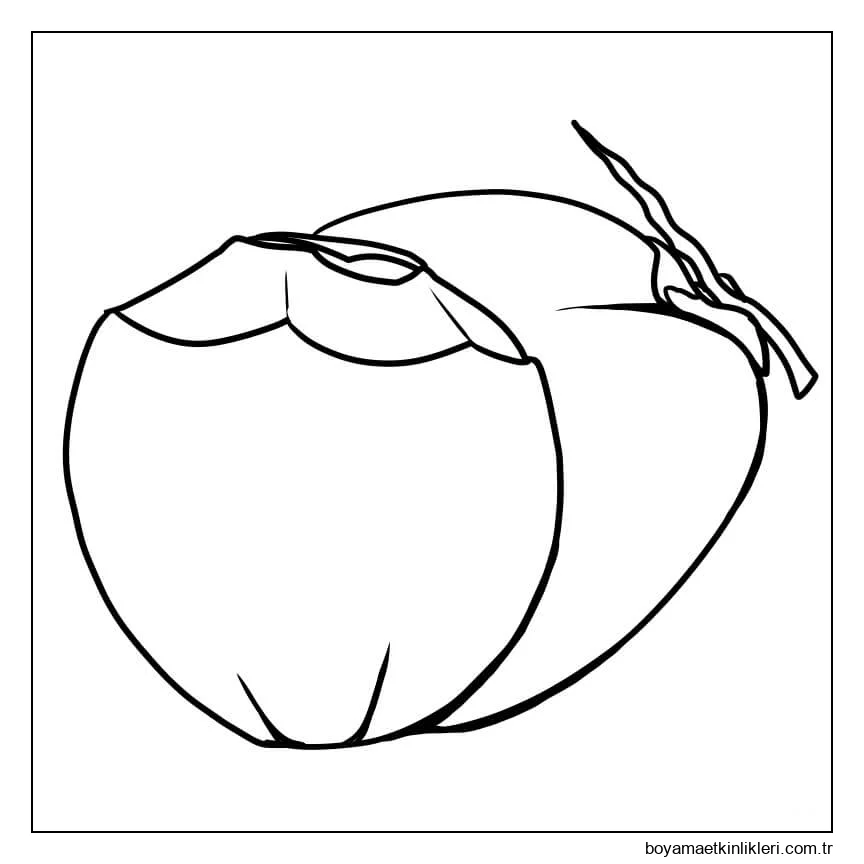 Iki Hindistan Cevizi