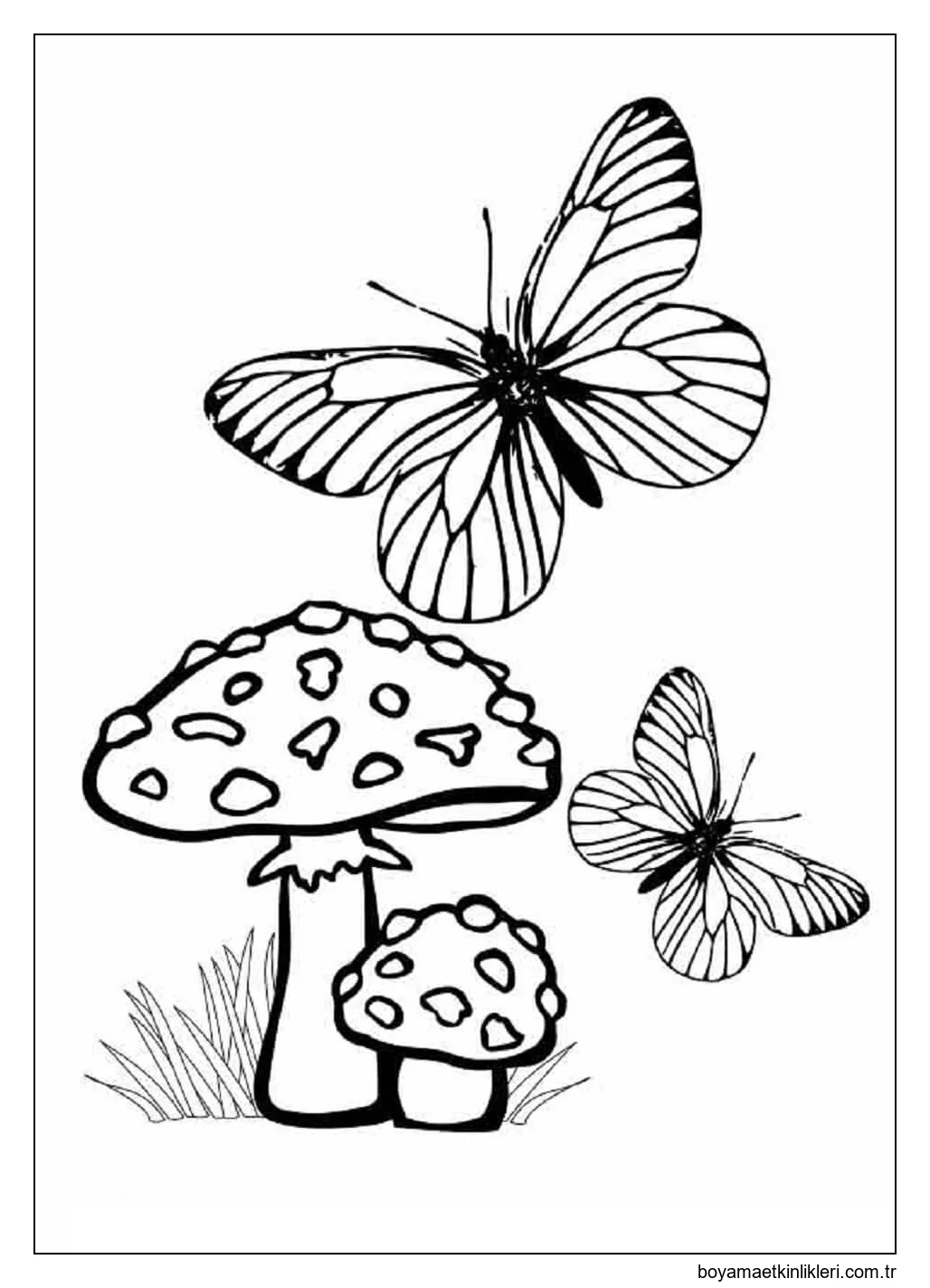 İki Kelebek ve Mantar