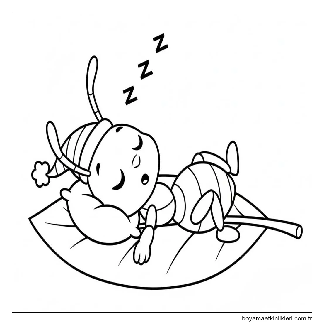 Karınca Uyumak