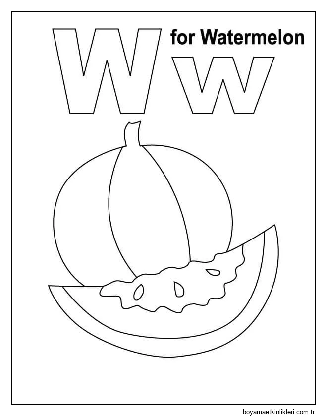 Karpuz için W Harfi
